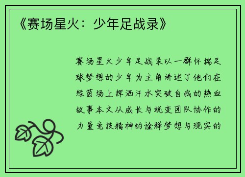 《赛场星火：少年足战录》